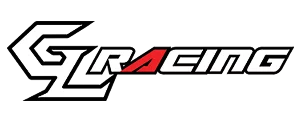 Snow racing logo
