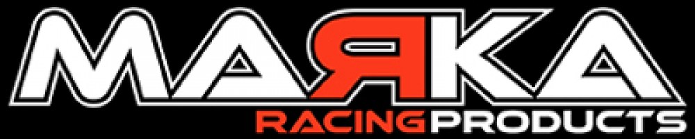 Snow racing logo