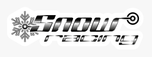 Snow racing logo